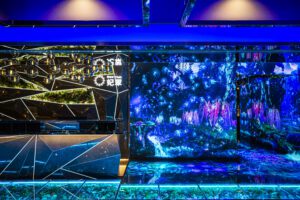 すすきのキャバ嬢のニュークラブ紹介まとめ①【キャバ嬢動画まとめ】